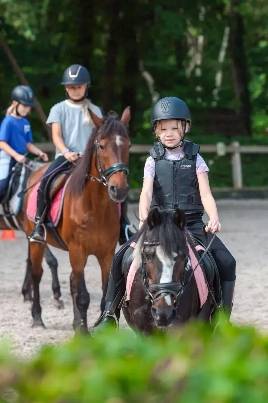 De manege