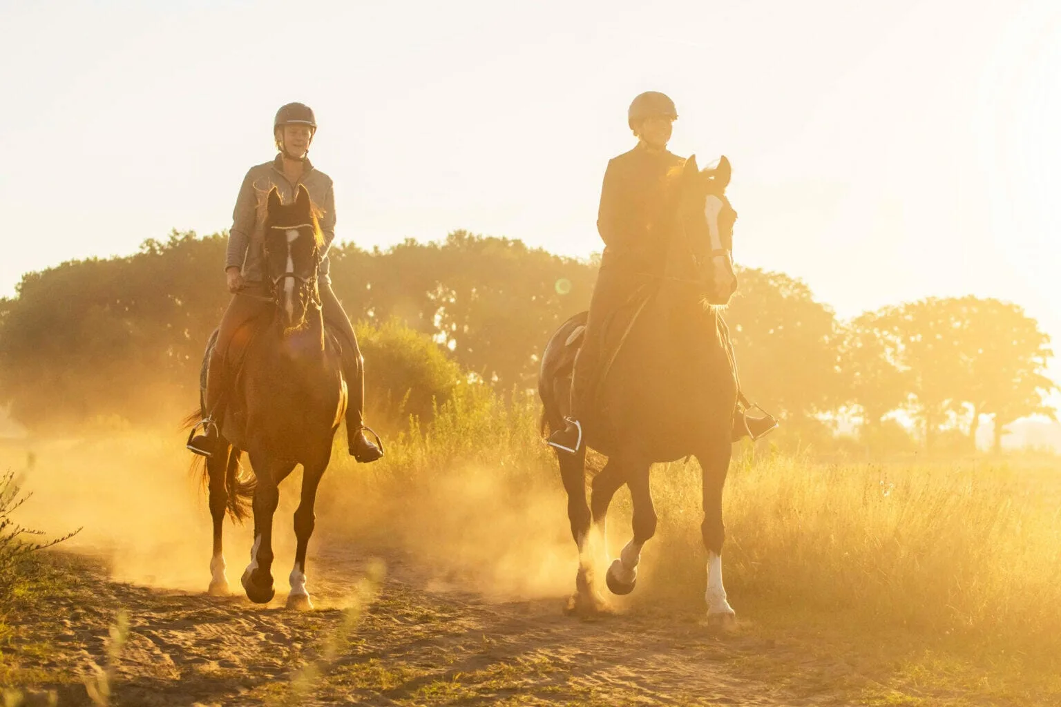 Camping + Manege Knollegruun