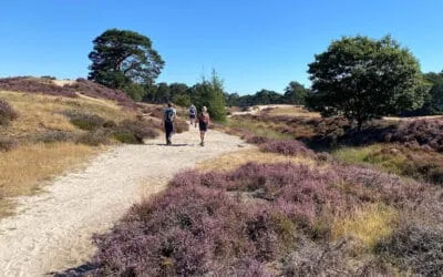 Wandelen