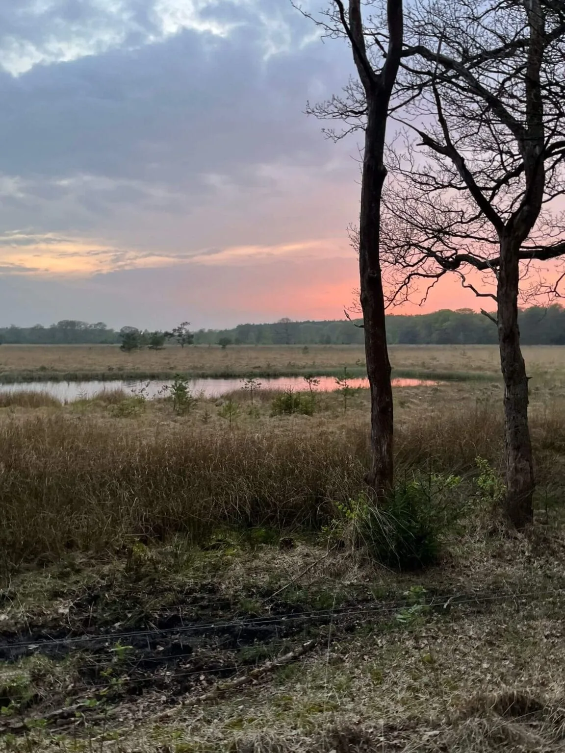 Overnacht met jouw paard bij de prachtige omgeving van Schoonloo