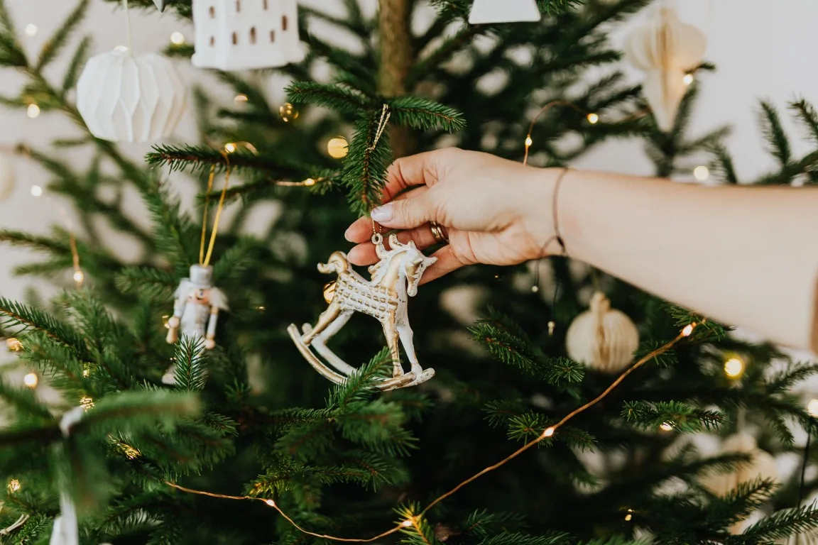Kerstspringwedstrijd