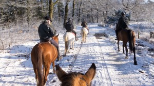 buitenrit in de sneeuw