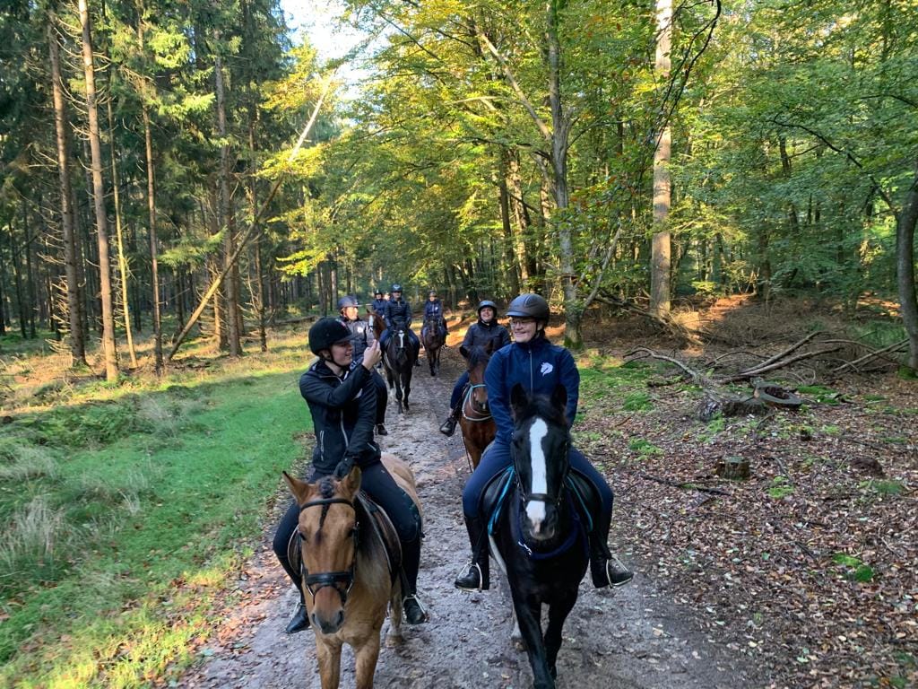 Een bosrit midden in het hart van Drenthe Een bosrit midden in het hart van Drenthe