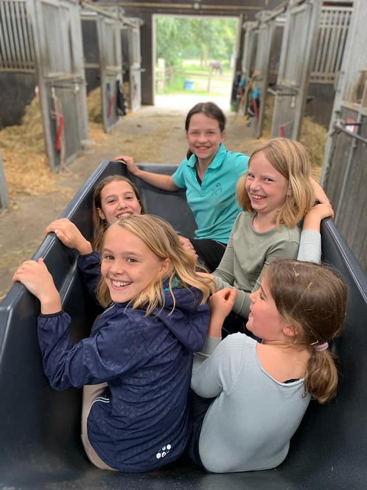 Ponykamp2